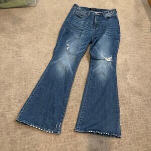 Judy Blue Revolutionary Tummy Control Jeans 16W